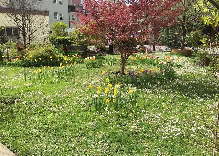 Nigler * إنسبروك