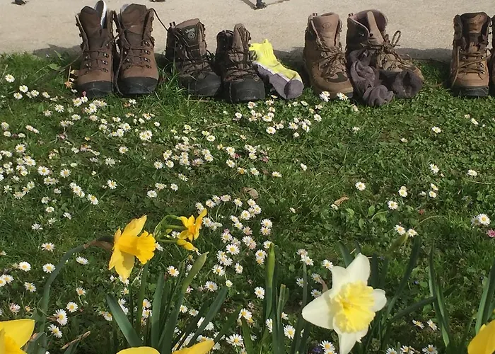 Nigler إنسبروك